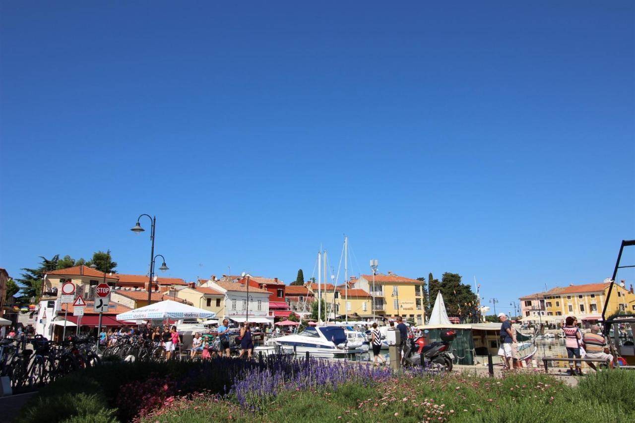 Gianna A4+2 Διαμέρισμα Novigrad Istria Εξωτερικό φωτογραφία